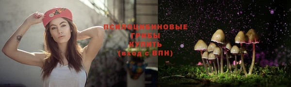 PSILOCYBIN Белокуриха