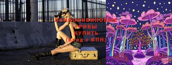 ECSTASY Покачи