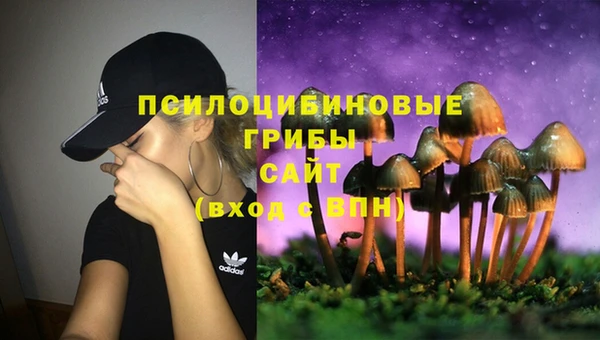 ПСИЛОЦИБИНОВЫЕ ГРИБЫ Балахна