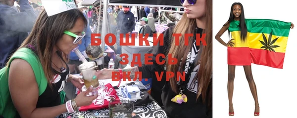 ПСИЛОЦИБИНОВЫЕ ГРИБЫ Балахна