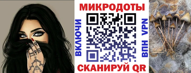 hydra tor  Кстово  Псилоцибиновые грибы Psilocybine cubensis 
